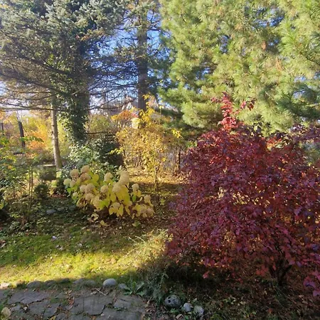 Stara Casa de Férias *